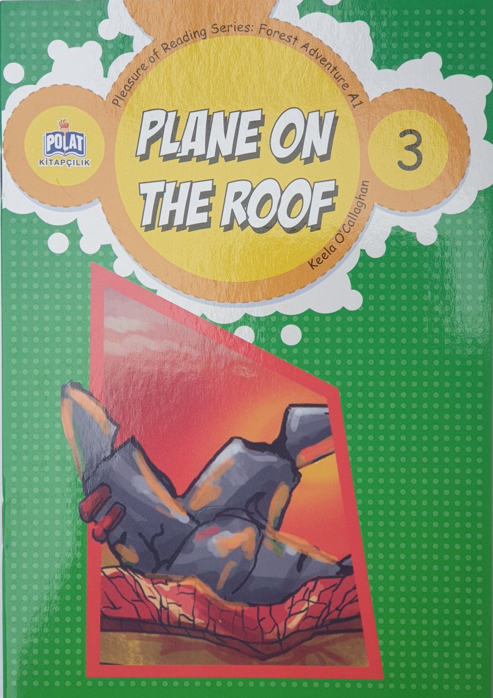 Plane On The Roof 3